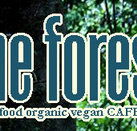 Forest Cafe  Bar - Restaurant Darwin