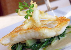 Broadway Hotel - Restaurant Darwin 0