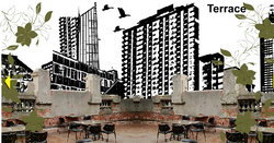 The Order - Restaurant Darwin 1