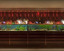 AB Hotel - Restaurant Darwin 2
