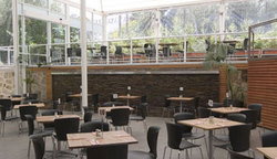 Tea Tree Gully Hotel - Restaurant Darwin 3