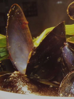 Apple Bar - Restaurant Darwin 3