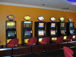 Wee Willie's Tavern - Restaurant Darwin 3