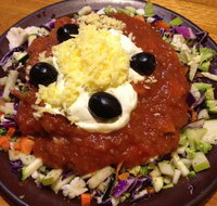 Montezuma's Labrador