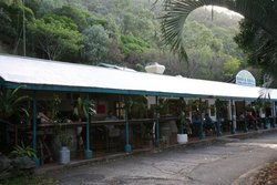 Ellis Beach Bar & Grill - Restaurant Darwin 1