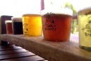Moody Cow Brewery - Restaurant Darwin 1