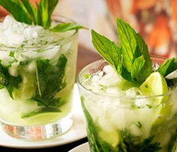 Coco Cubano - Darlinghurst - Restaurant Darwin 2