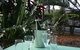 Ellis Beach Bar & Grill - thumb 3