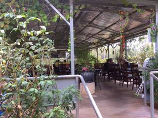 Etosha Charcoal - Restaurant Darwin 4