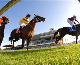 Wyong Race Club - Restaurant Darwin 0
