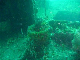 Wallaroo Scuba Club - Restaurant Darwin 0