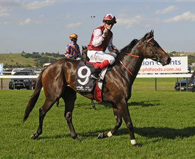 Kembla Grange Racecourse - Illawarra Turf Club - Restaurant Darwin 2
