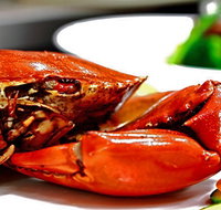 Newquay International Buffet - Restaurant Darwin