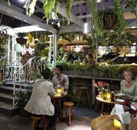 Downtown at The Commons - Restaurant Darwin