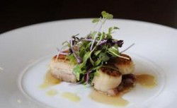 Willoughby NSW Restaurant Darwin