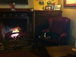 Royal Cricketers Arms - Restaurant Darwin 2