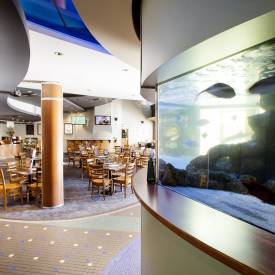 Pub Mooloolaba - Restaurant Darwin 3