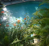 Avoca Beach Hotel - Restaurant Darwin