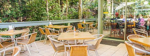 Rainforest Cafe (Sea Acres) - Restaurant Darwin 1