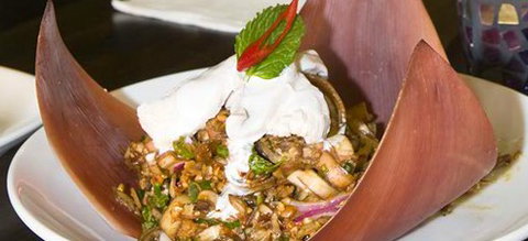 Thai Splendid Rouse Hill - Restaurant Darwin 0