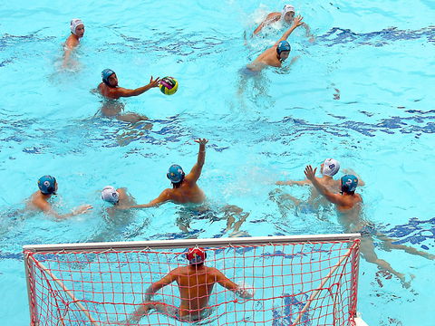 Australian Youth Water Polo Championships - Restaurant Darwin 0