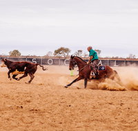 Birdsville Campdraft  Rodeo and Bronco Branding - Restaurant Darwin