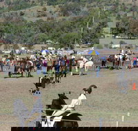 Gresford Agricultural Show - Restaurant Darwin