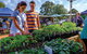Margaret River Farmers Market - thumb 1