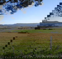 Milton Village Showground Markets - Restaurant Darwin