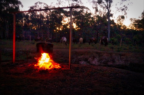 Night Horse Ride And Dinner - Restaurant Darwin 2