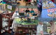 Port Stephens Market - thumb 0