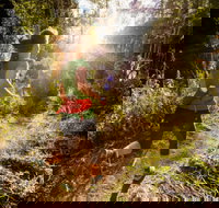 Run Dungog - Restaurant Darwin