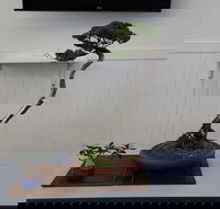 Wauchope Bonsai Workshop Group - Restaurant Darwin