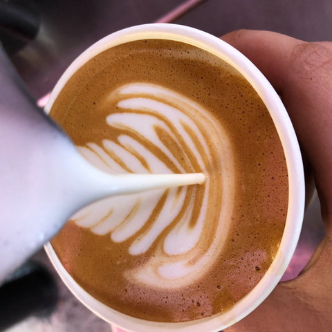 Yamba Farmers And Producers Market - Restaurant Darwin 2