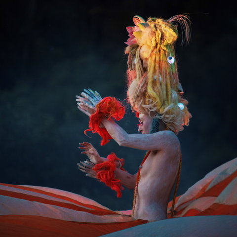 Yonder Festival 2020 - Restaurant Darwin 2