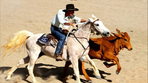 Bedourie Campdraft, Rodeo, Gymkhana - Restaurant Darwin 0