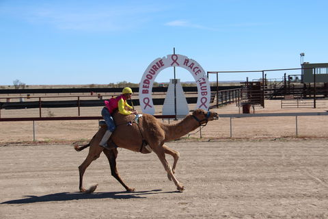 Bedourie Camel And Pig Races And Camp Oven Cook-off - Restaurant Darwin 0
