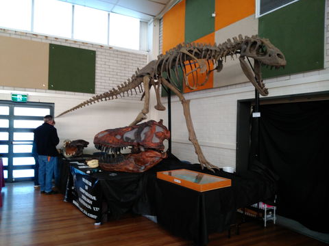 Carlingford Gem And Mineral Expo - Restaurant Darwin 1