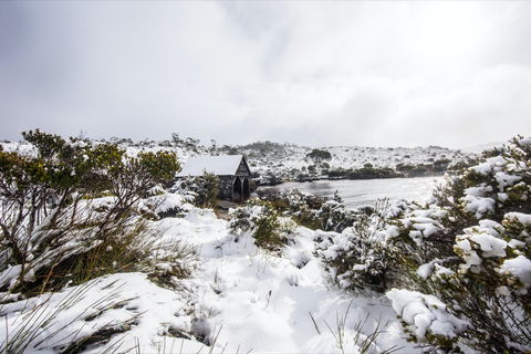 Christmas In July At Cradle Mountain Hotel 2020 - Restaurant Darwin 0
