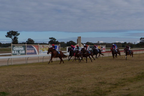 Corowa Horseraces - Restaurant Darwin 0