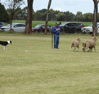 Dean Sheepdog Trials - Old Sniff Classic - Restaurant Darwin