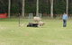 Dean Sheepdog Trials - Old Sniff Classic - thumb 2