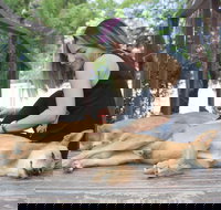 Dingo Den Discovery Experience - Restaurant Darwin