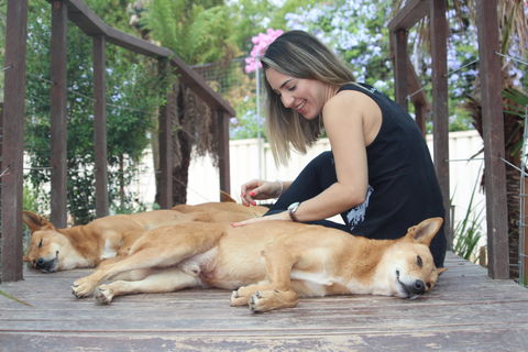 Dingo Den Discovery Experience - Restaurant Darwin 0