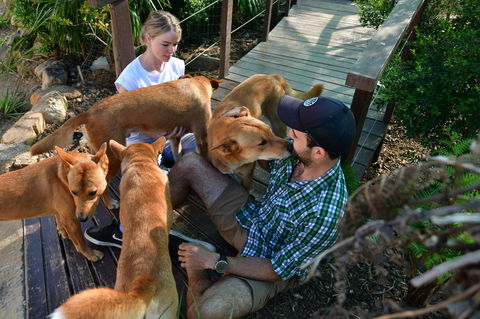 Dingo Den Discovery Experience - Restaurant Darwin 1