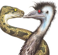 Edward The Emu - Restaurant Darwin