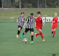 FFA National Youth Championships for Boys - Restaurant Darwin