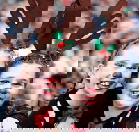 Mount Druitt Christmas Light Up Concert - Restaurant Darwin