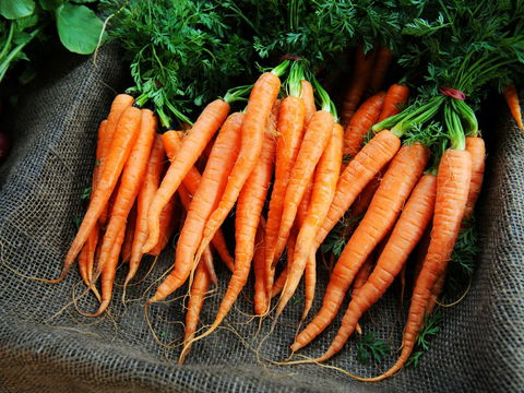 Mudgee Farm Walks - Restaurant Darwin 2