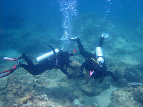 Recovery Of The Great Barrier Reef - Restaurant Darwin 1